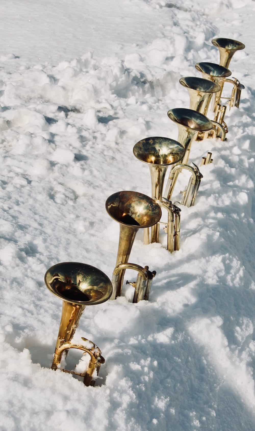 Trumpet Bells in a Snowbank