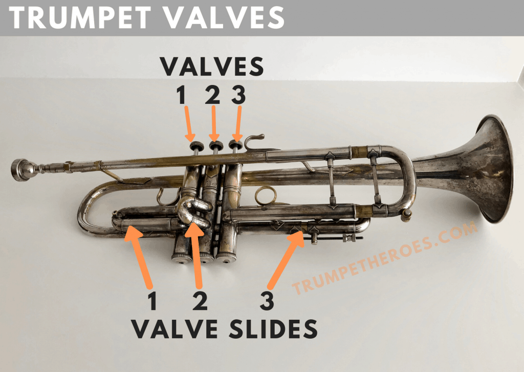 Trumpet Valves - Labelled Photo